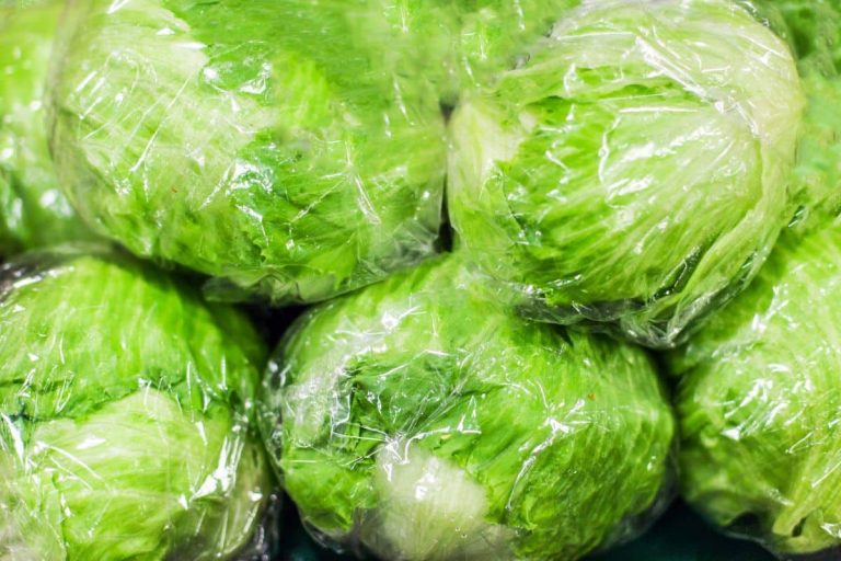 Voici pourquoi vous devriez éviter de manger de la salade Iceberg ou Sucrine 