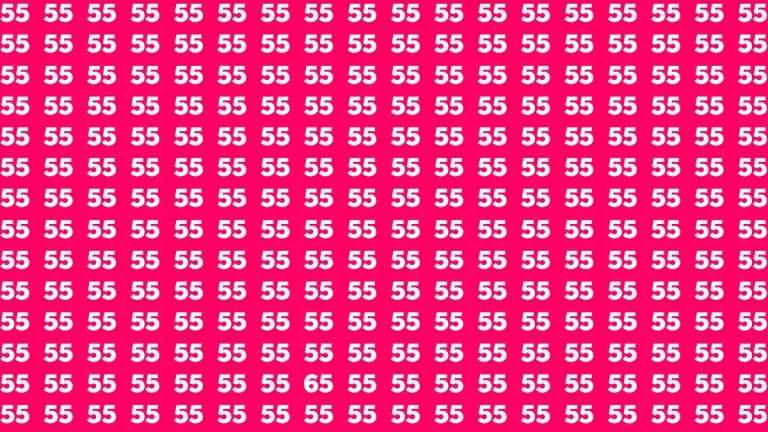 Vous avez une vision d&rsquo;aigle si vous pouvez trouver le 65 caché parmi les 55 en moins de 8 secondes