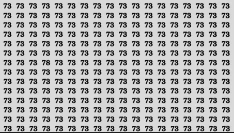 Seule une personne avec plus de 140 de QI peut trouver le 78 caché parmi les 73 en moins de 9 secondes