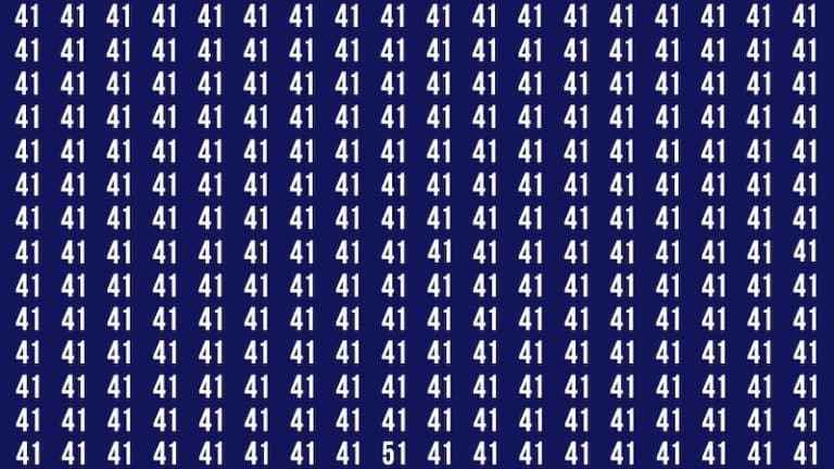 Seuls les personnes avec un QI supérieur à 132 peuvent trouver le 51 caché parmi les 41 en moins de 8 secondes