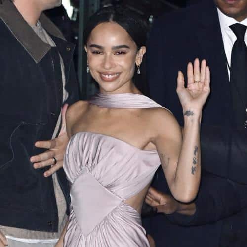 Zoë Kravitz a presque perdu un serpent pour animaux de compagnie dans la maison de Taylor Swift
            

