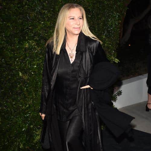 Barbra Streisand rend hommage à Robert Redford
            

