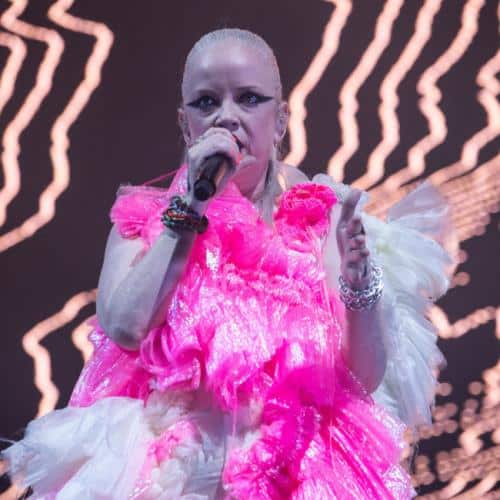 Garbage quitte des tournées en raison du «vol de l'industrie du record»
            

