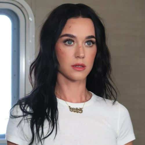 Katy Perry veut que le prochain projet se déploie naturellement: «Pas de forçage, pas de contrôle»
            

