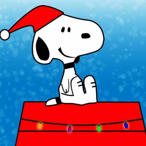 Le compte à rebours de Noël commence aujourd'hui par Noël magique 
            

