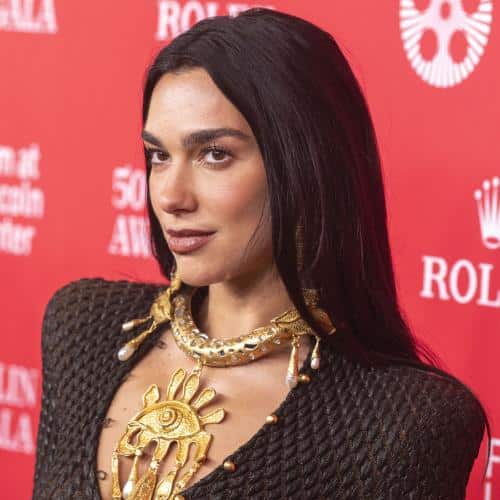 Le fournisseur de marchandises de Dua Lipa poursuit des bootleggers
            

