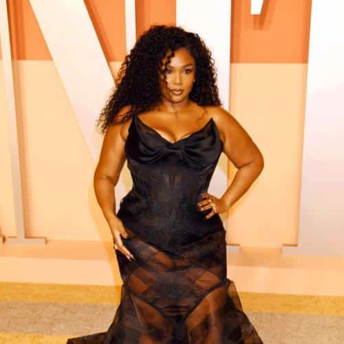 Lizzo `` stressing '' sur les algorithmes en streaming
            

