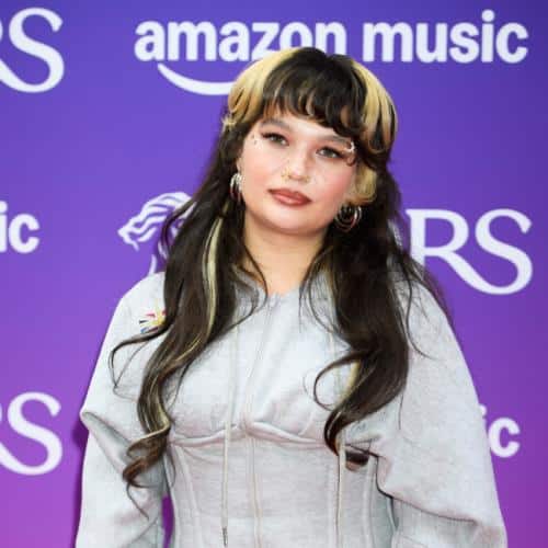 Lola Young annule le concert après l'effondrement sur scène
            

