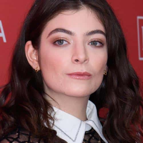 Lorde s'ouvre sur l'expérience de la «guérison» au milieu de la consommation de difficultés
            

