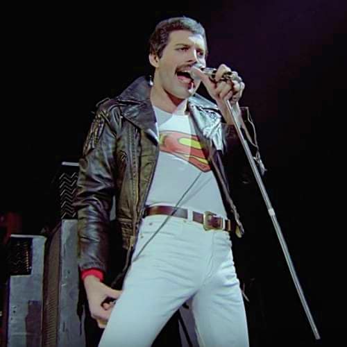 Freddie Mercury : "C'est frivole et ironique. C'est fondamentalement toute ma nature"
            

