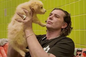GAVIN ROSSDALE de BUSH lance la campagne « 12 jours de dogmes » en partenariat avec la « Best Friends Animal Society »