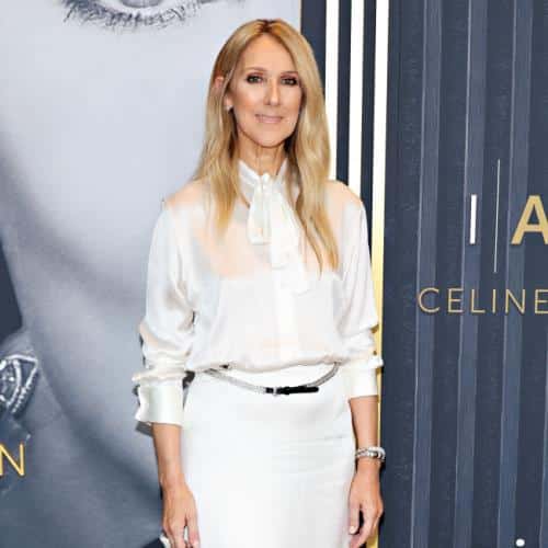 Céline Dion suscite le buzz alors que sa campagne d'affichage à Paris fait allusion à une grande résidence d'automne
            


