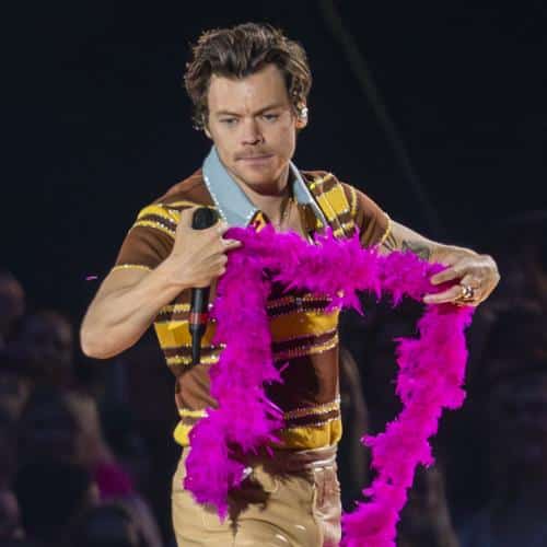 Harry Styles offre à une ancienne école 100 billets gratuits pour le spectacle de Manchester
            

