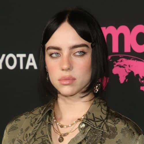 Le harceleur de Billie Eilish tué dans un train à New York
            

