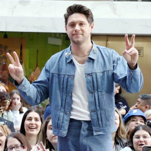 Niall Horan qualifie le pub maison de « pire idée » qu'il ait jamais eu
            

