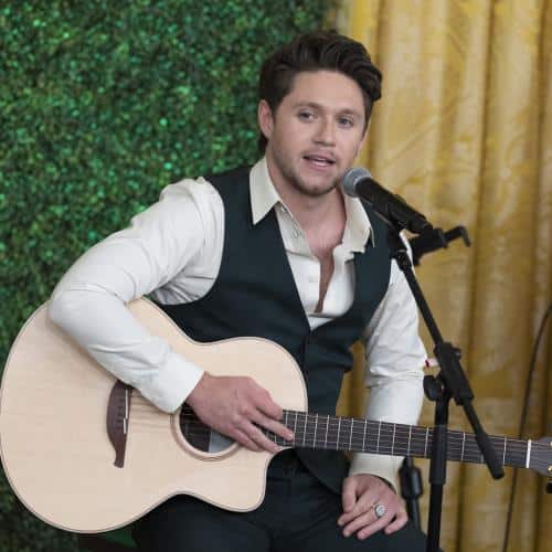 Niall Horan fait l'éloge de l'écriture de Olivia Rodrigo
            

