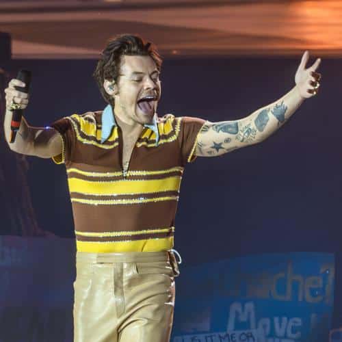 Harry Styles s'effondre sur scène à Londres