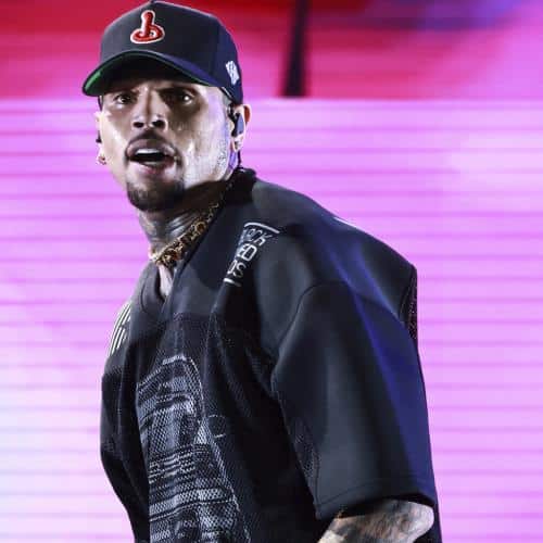 La gouvernante de Chris Brown sanglote lors d'un procès pour mutilation de chien