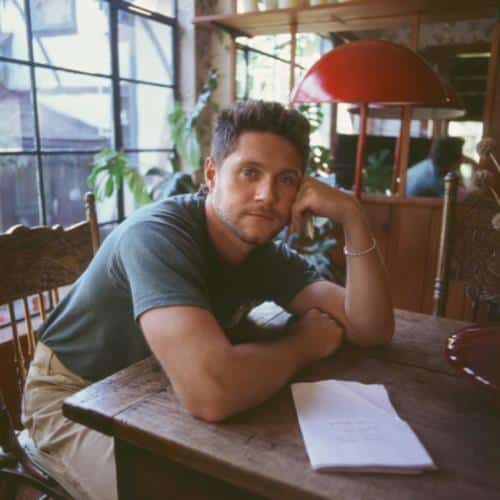 Le nouvel album de Niall Horan, Dinner Party, est là – inspiré par l'amour, ses 30 ans et la perte de Liam Payne
            

