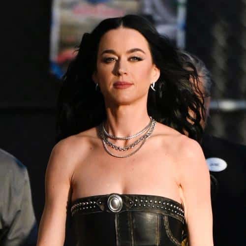 Katy Perry « consternée » par l'utilisation d'un feu d'artifice dans le clip de l'attentat à la Maison Blanche