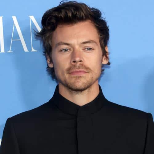 Harry Styles confie qu'il se sent "mal à l'aise" lorsqu'il n'est pas en tournée