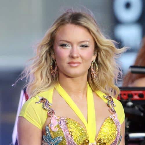 Zara Larsson répond à la Maison Blanche en utilisant une chanson dans une vidéo anti-immigration
