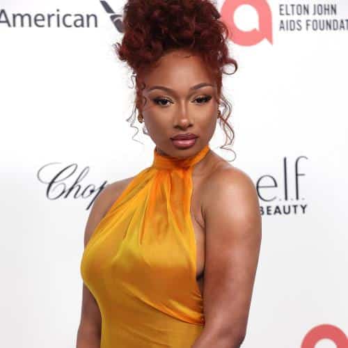 Megan Thee Stallion s'ouvre sur les défis du doublage
